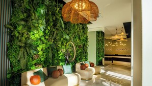 A lobby with a green wall, two sofas, a reception desk, and a hanging light fixture. - GREENWOOD (Batumi)