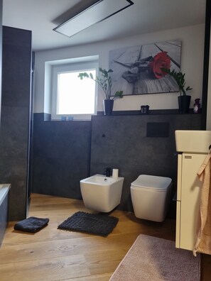 Haartrockner, Bidet, Handtücher, Seife