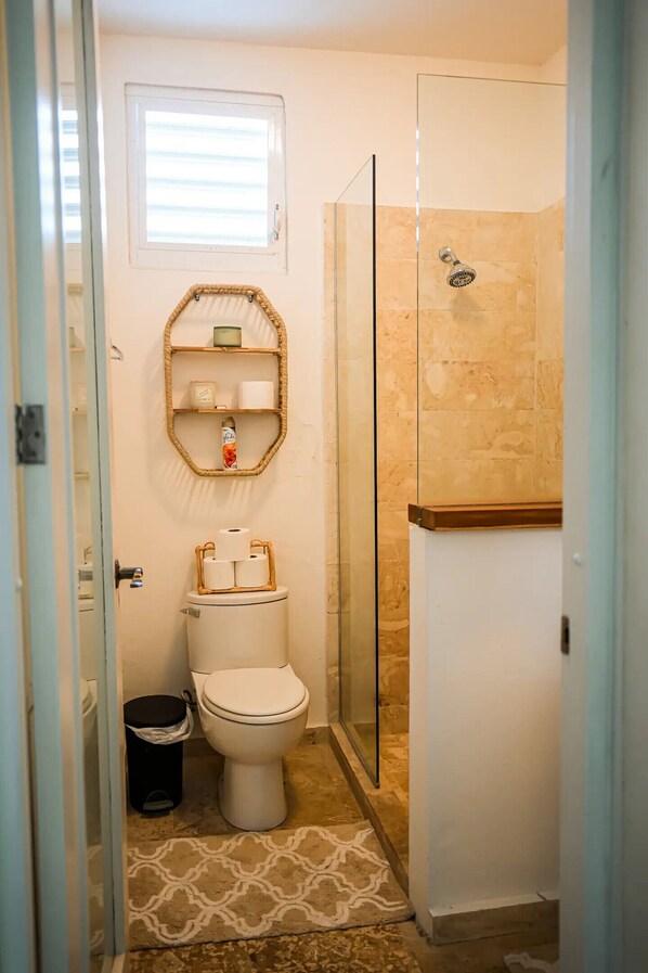 Shower, hair dryer, towels