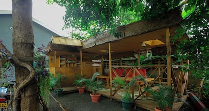 Janibichi adventures hostel