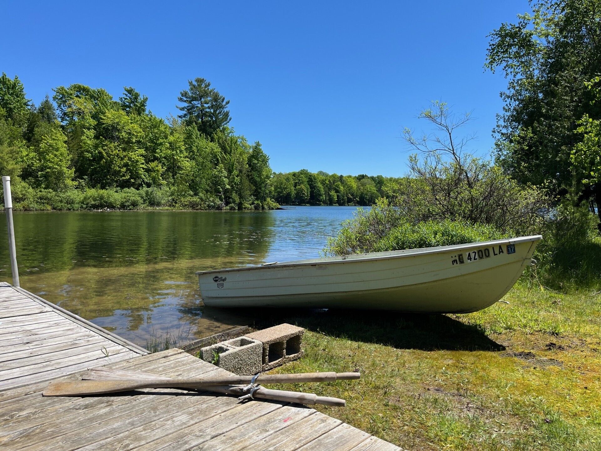 A boat docked at a wooden pier with a grassy bank and trees in the background.