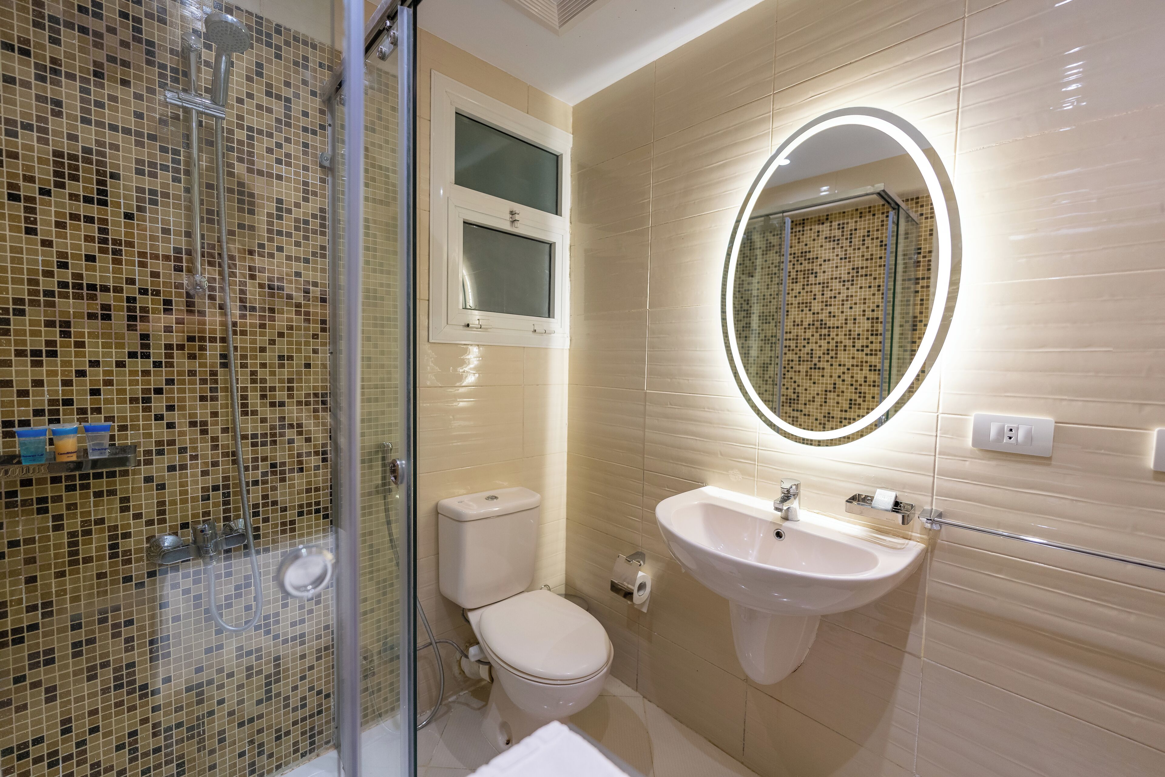 A bathroom with a glass-enclosed shower, a toilet, and a sink with a mirror.