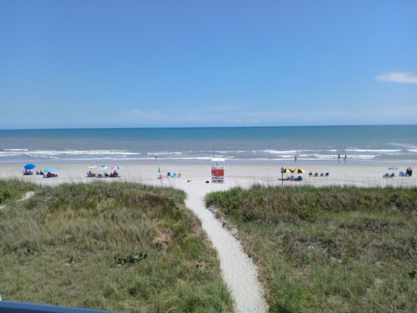 En la playa y camastros 