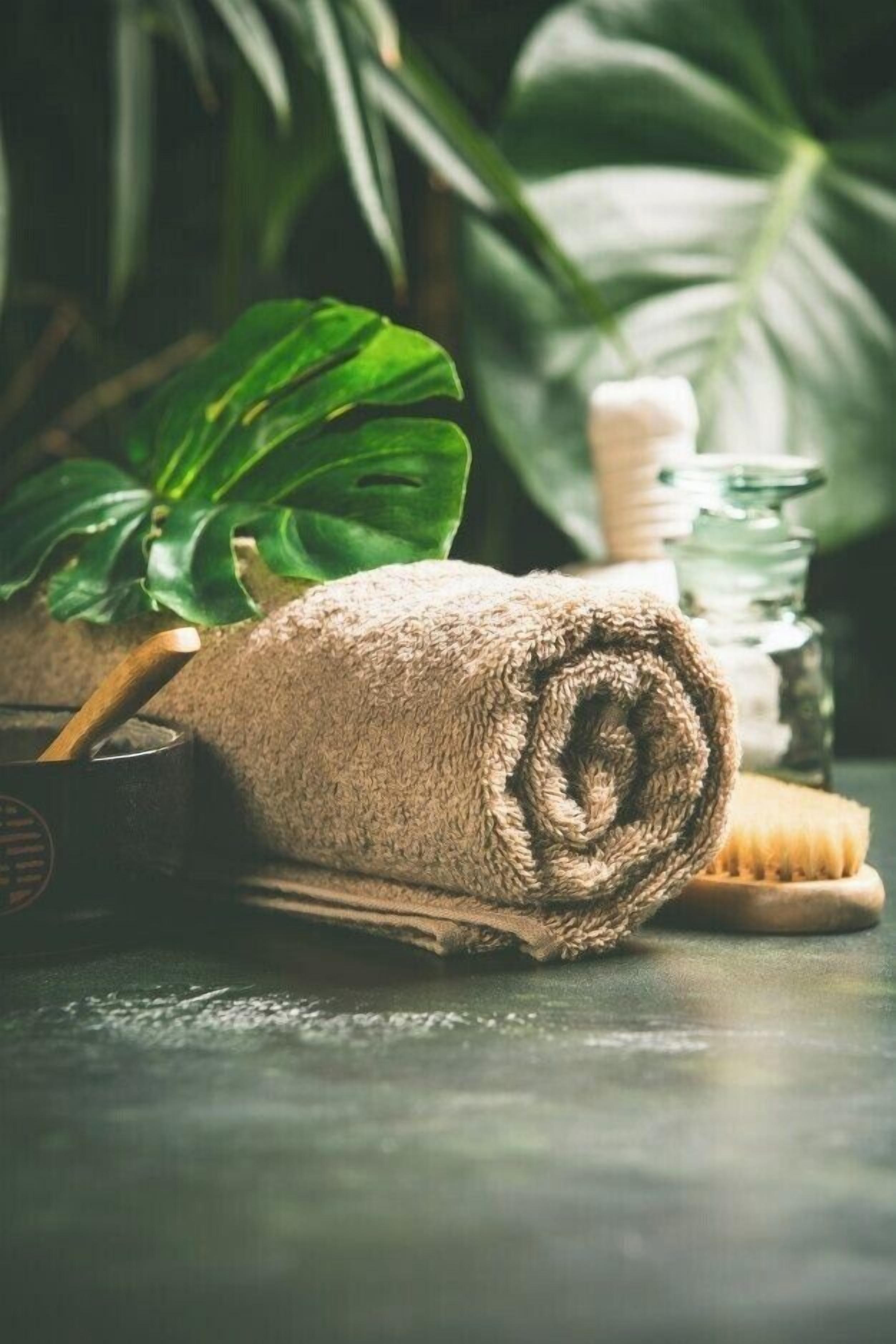 Photo - Mansi Residence