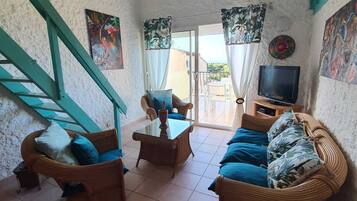 Télévision, livres