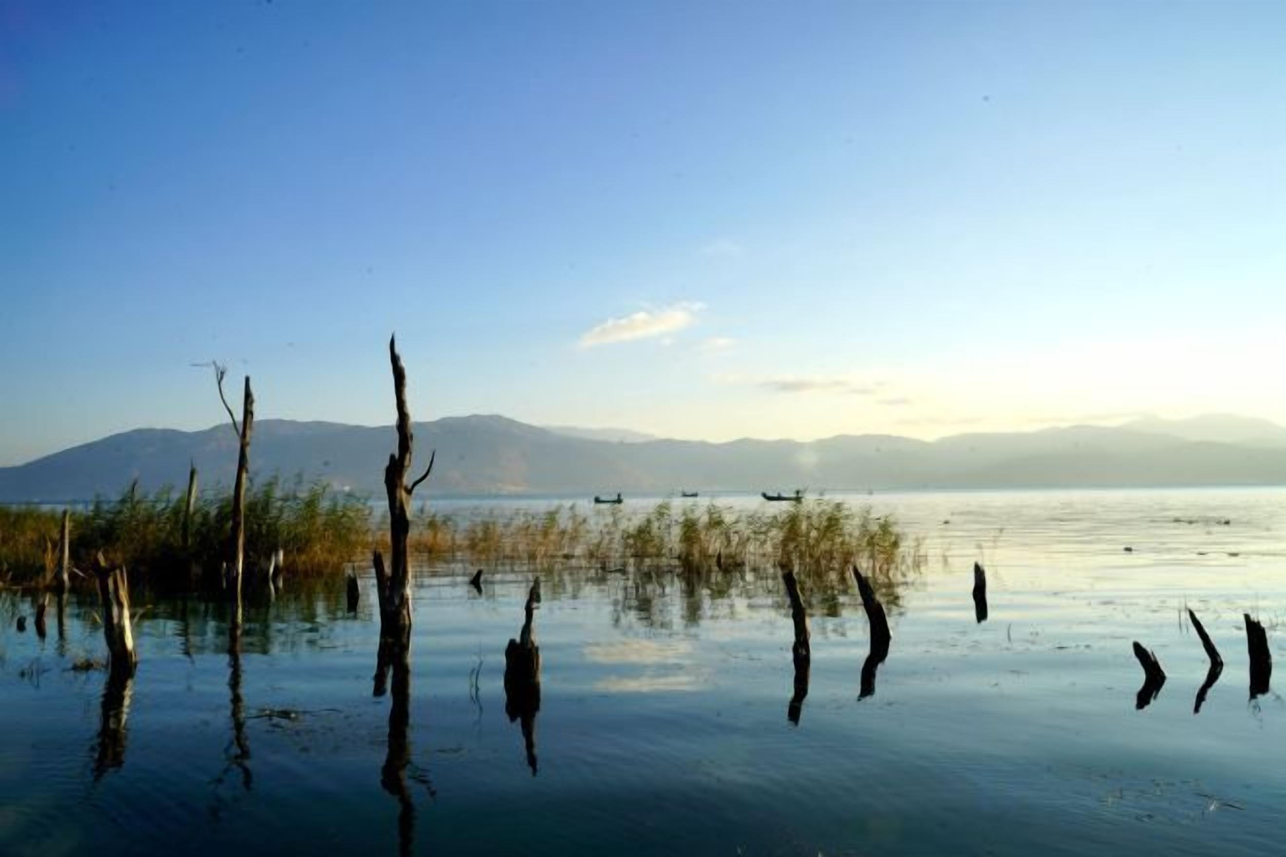 Un lago tranquilo con reflejos de árboles y montañas al fondo.