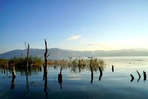 A calm lake with reflections of trees and mountains in the background. - Haiyang Lanlan Erhai Garden Sea View Inn (Dali City)