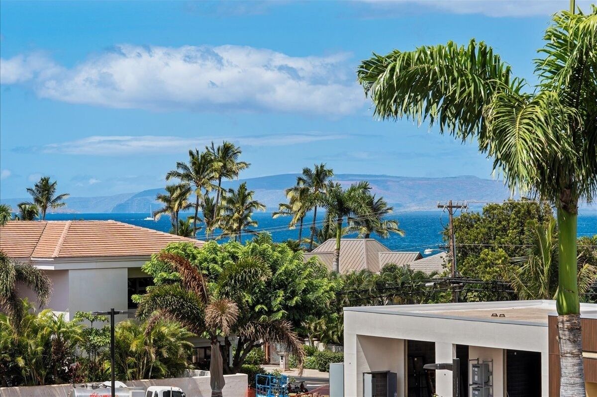 A residential area with houses, palm trees, and a view of the ocean.