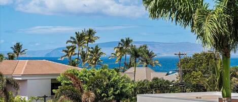 A residential area with houses, palm trees, and a view of the ocean.
