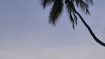 A beach with a palm tree, calm sea, and boats at sunset.