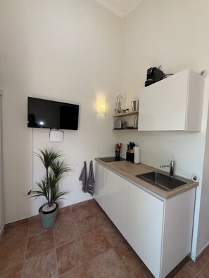 Cozinha compacta com uma TV instalada acima do balcão, uma pia e um pequeno vaso de planta.