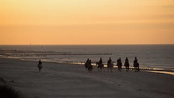 Paardrijden
