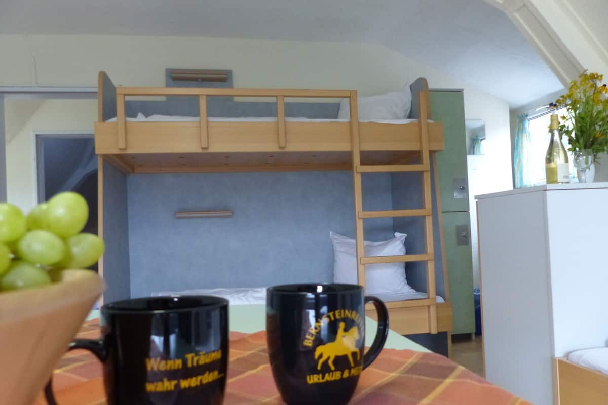 Klassieke slaapzaal | 1 slaapkamer, gratis wifi, beddengoed