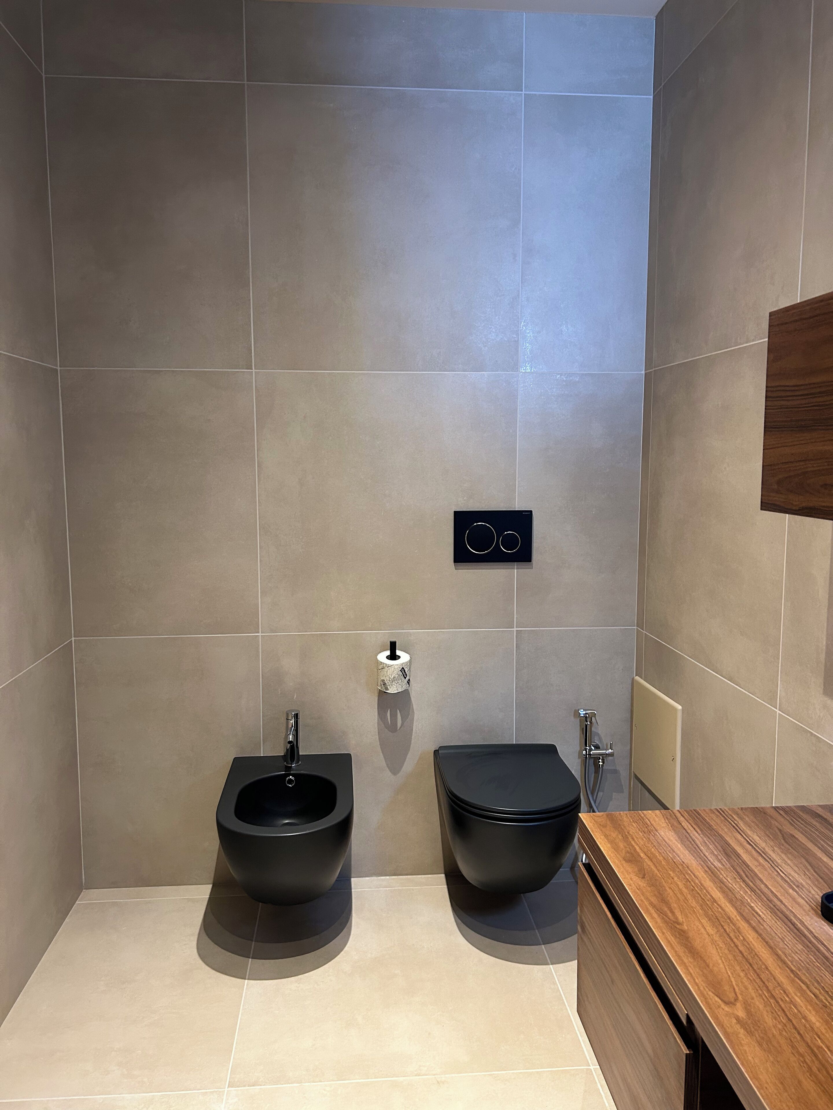 Shower, rainfall showerhead, hair dryer, bidet