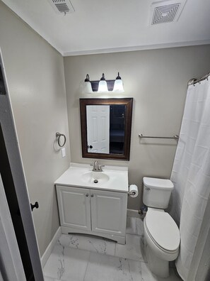A bathroom with a white sink, mirror, and toilet. There are three light fixtures above the mirror and a towel rack to the right of the toilet. - Renovated contemporary home centrally located (Gainesville)