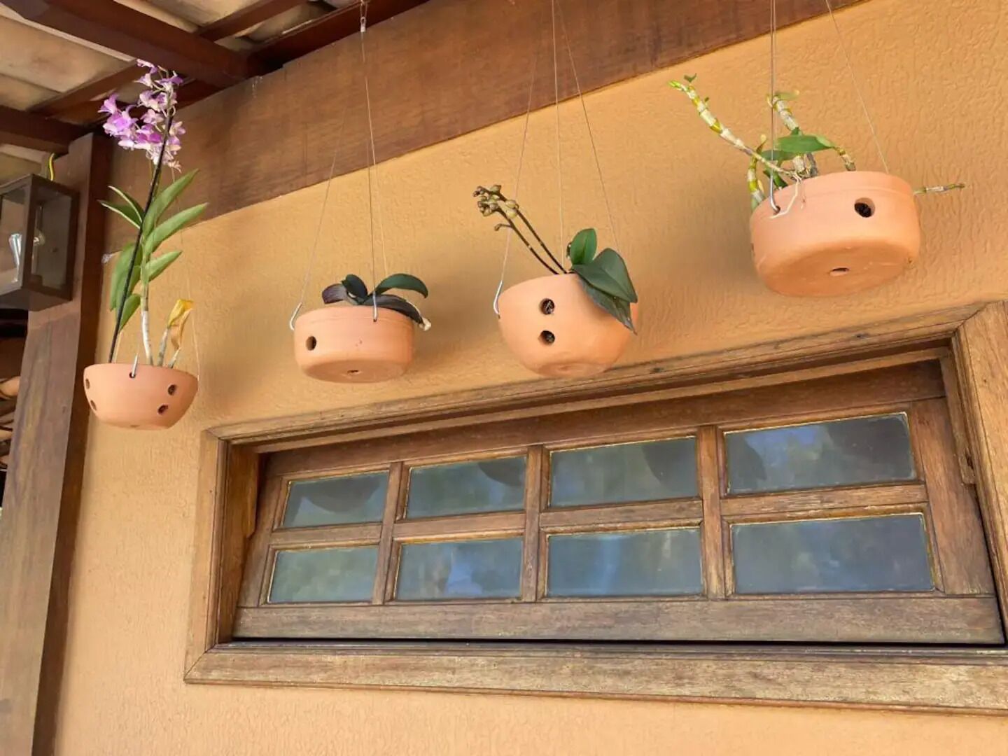 A window with four hanging terracotta pots with plants.
