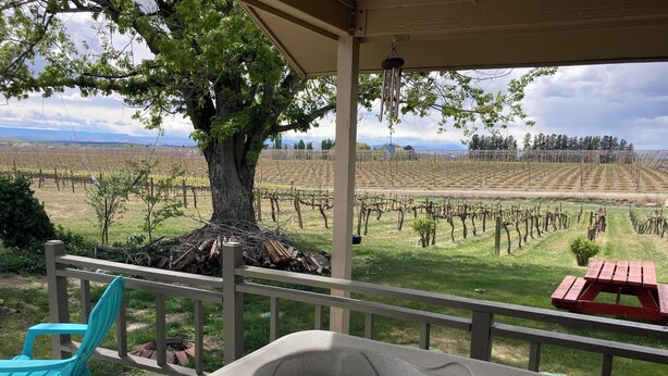 A hot tub with a view of a vineyard, a tree, and a picnic table. - Vineyard views at Dichotomy Vineyards guest house in the Yakima Valley (Outlook)