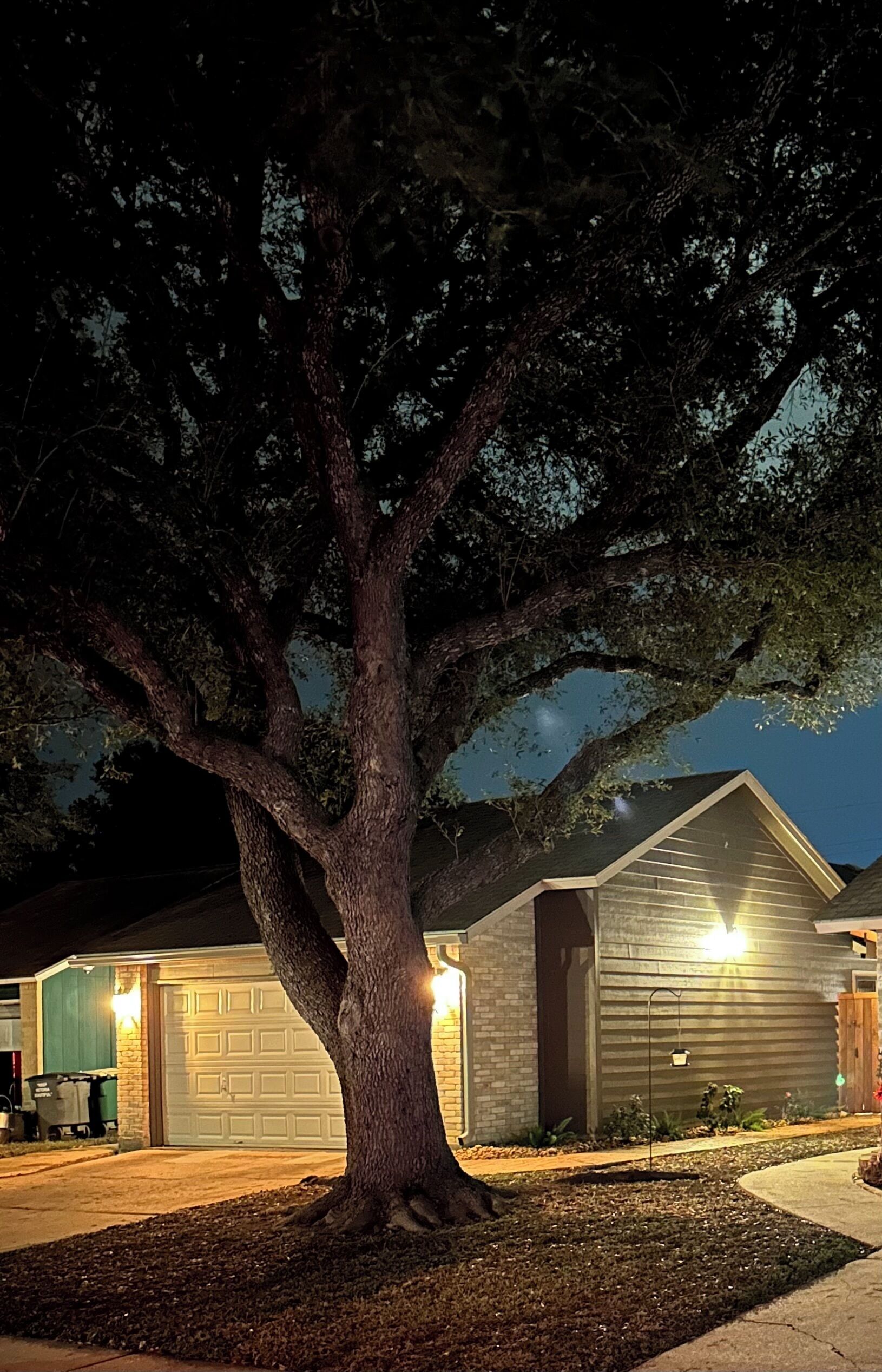 A residential property with a large tree in front of a garage, a well-lit driveway, and a house with a sloped roof.