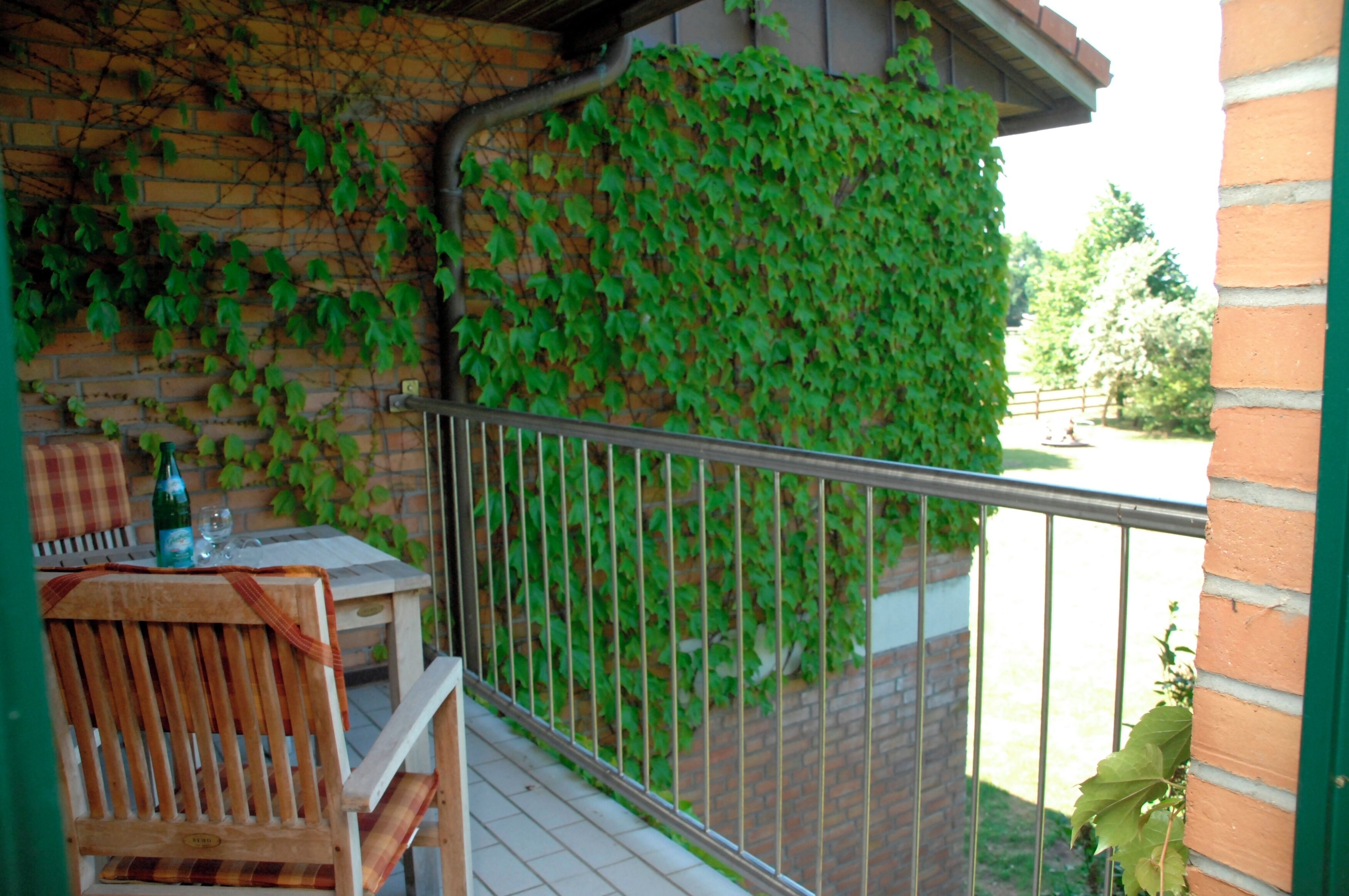 A balcony with a wooden chair and table, a metal railing, and a brick wall covered with green ivy.