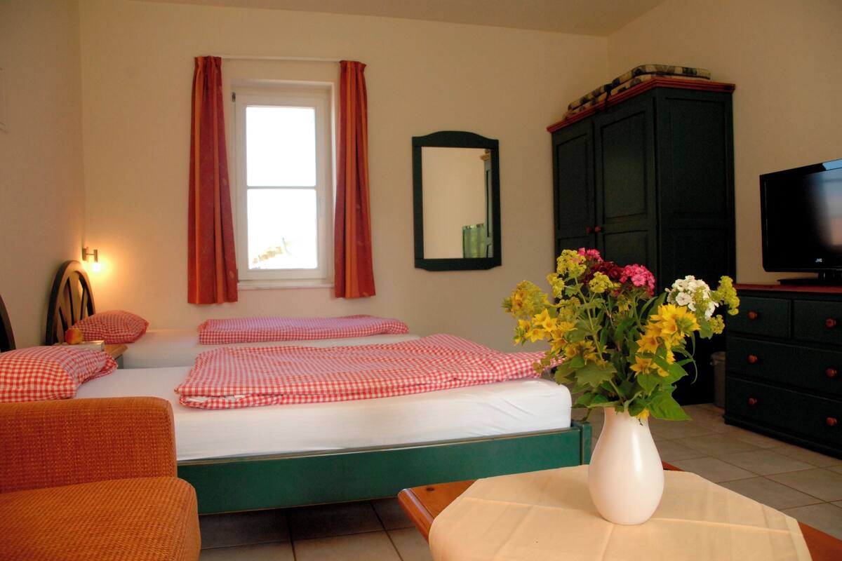 Quarto de hotel com cama, poltrona, mesa com vaso de flores, televisão e armário.