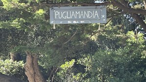 Un cartel que dice 'PUGLIAMANDIA' con una farola y árboles al fondo.