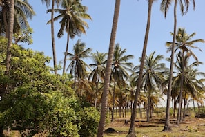 Front of property - Pacas Suítes (Santo Amaro do Maranhão)