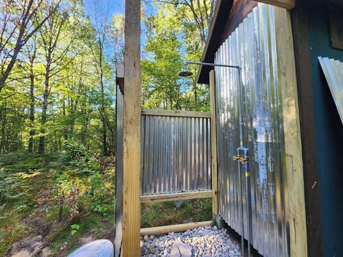 Bourbon St BlueBird Bus on 10 ACRES Dog Friendly