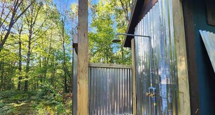 Bourbon St BlueBird Bus on 10 ACRES Dog Friendly