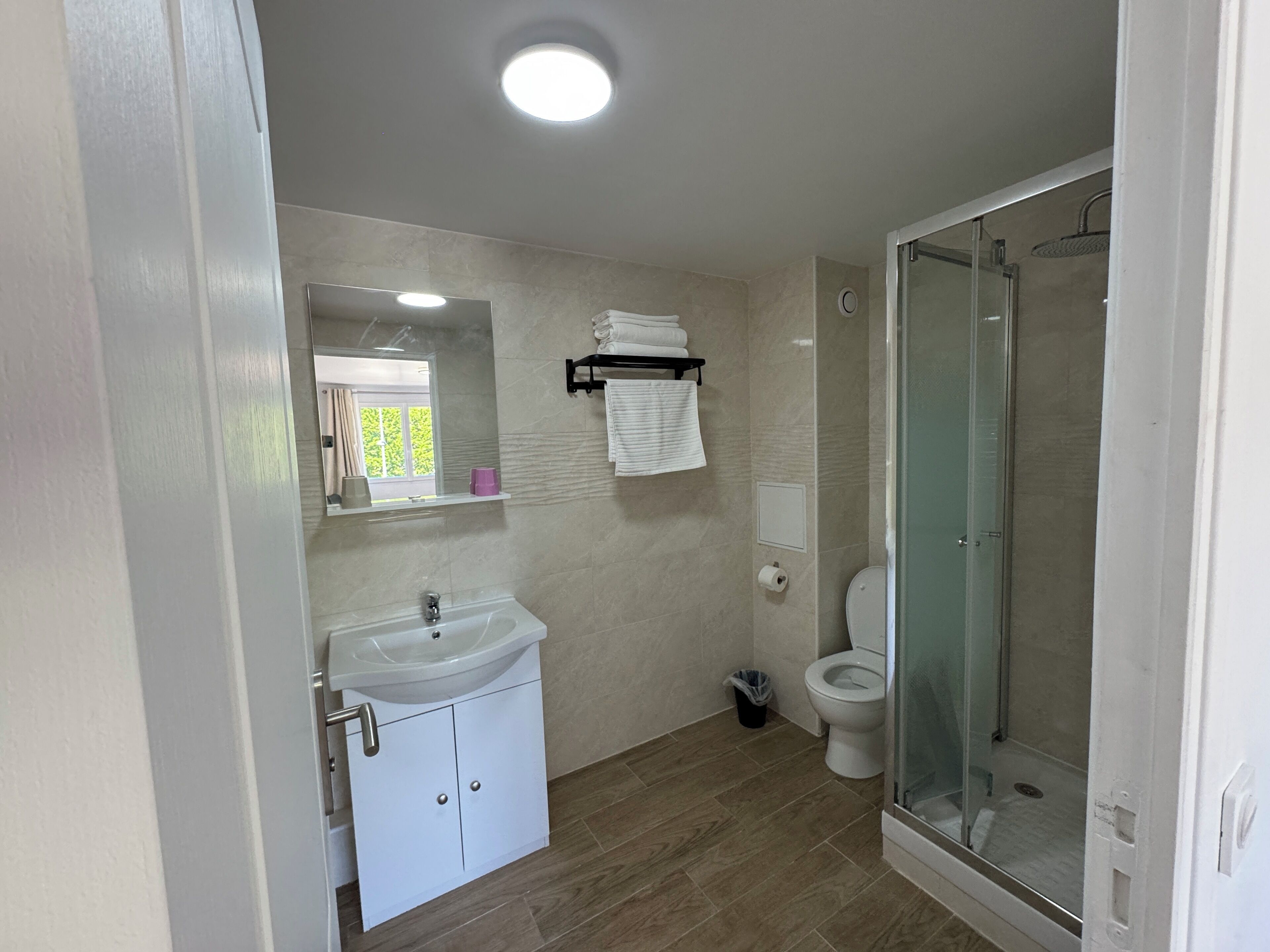 A bathroom with a sink, mirror, towel rack, toilet, and a glass-enclosed shower.