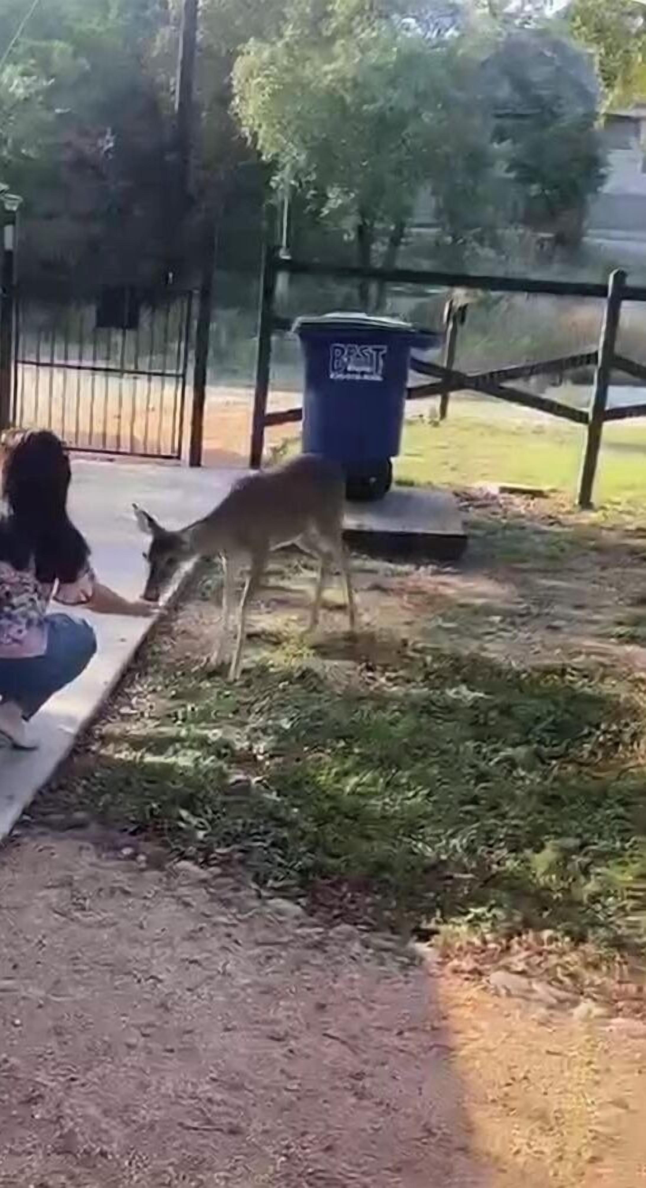 Uma área externa cercada com gramado, uma lixeira azul e uma pessoa sentada em um banco.