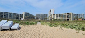 On the beach