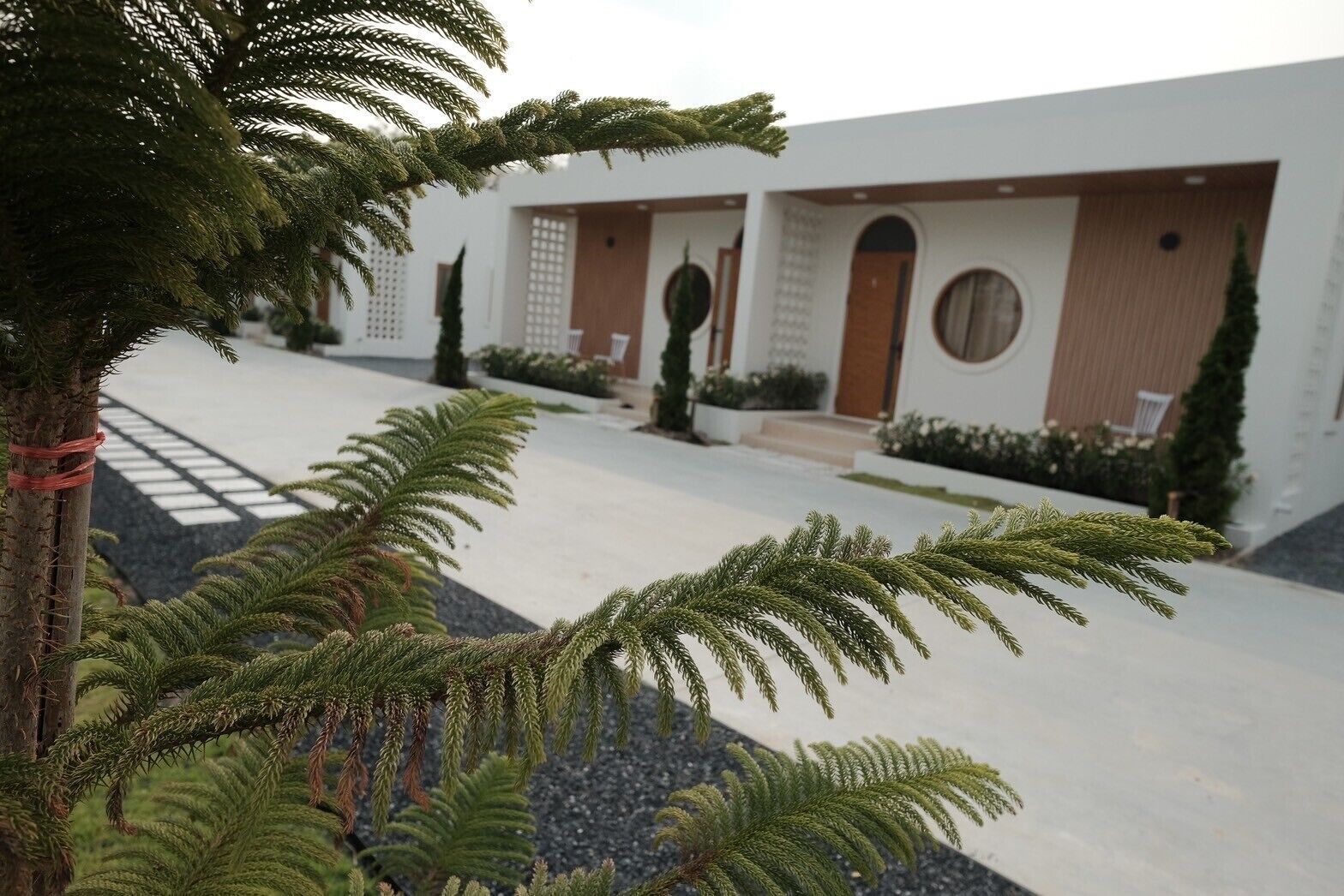 Phòng 2 giường đơn Tiêu chuẩn, quang cảnh đồi núi | Quang cảnh từ phòng