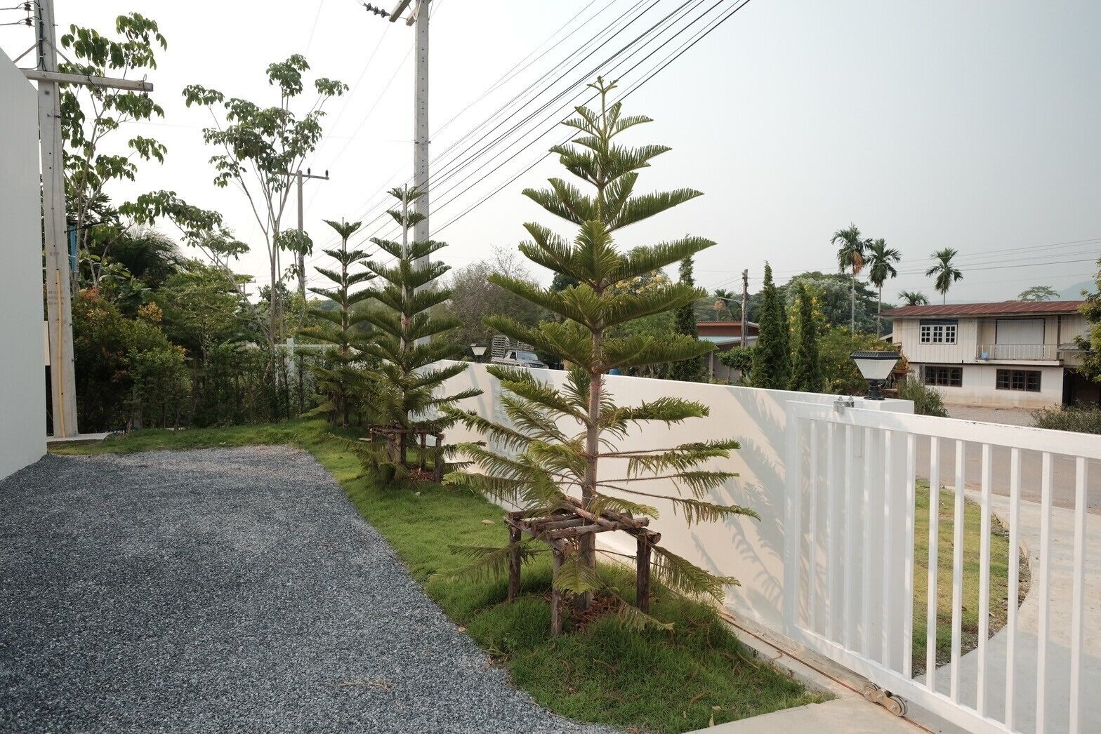 A residential area with a gravel driveway, a white fence, and several coniferous trees.