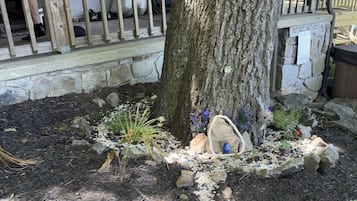 Àrea exterior de l'allotjament