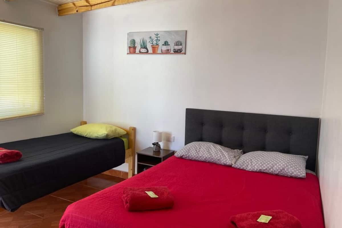 Une chambre avec deux lits simples, un plafond en bois, une petite table avec une lampe et une plante décorative fixée au mur.