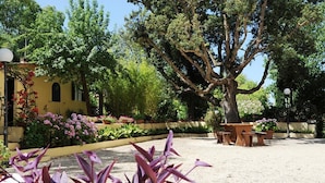 A courtyard with a large tree, potted plants, and outdoor furniture. - Eucalipti 2 - Apartment (Porto Azzurro)