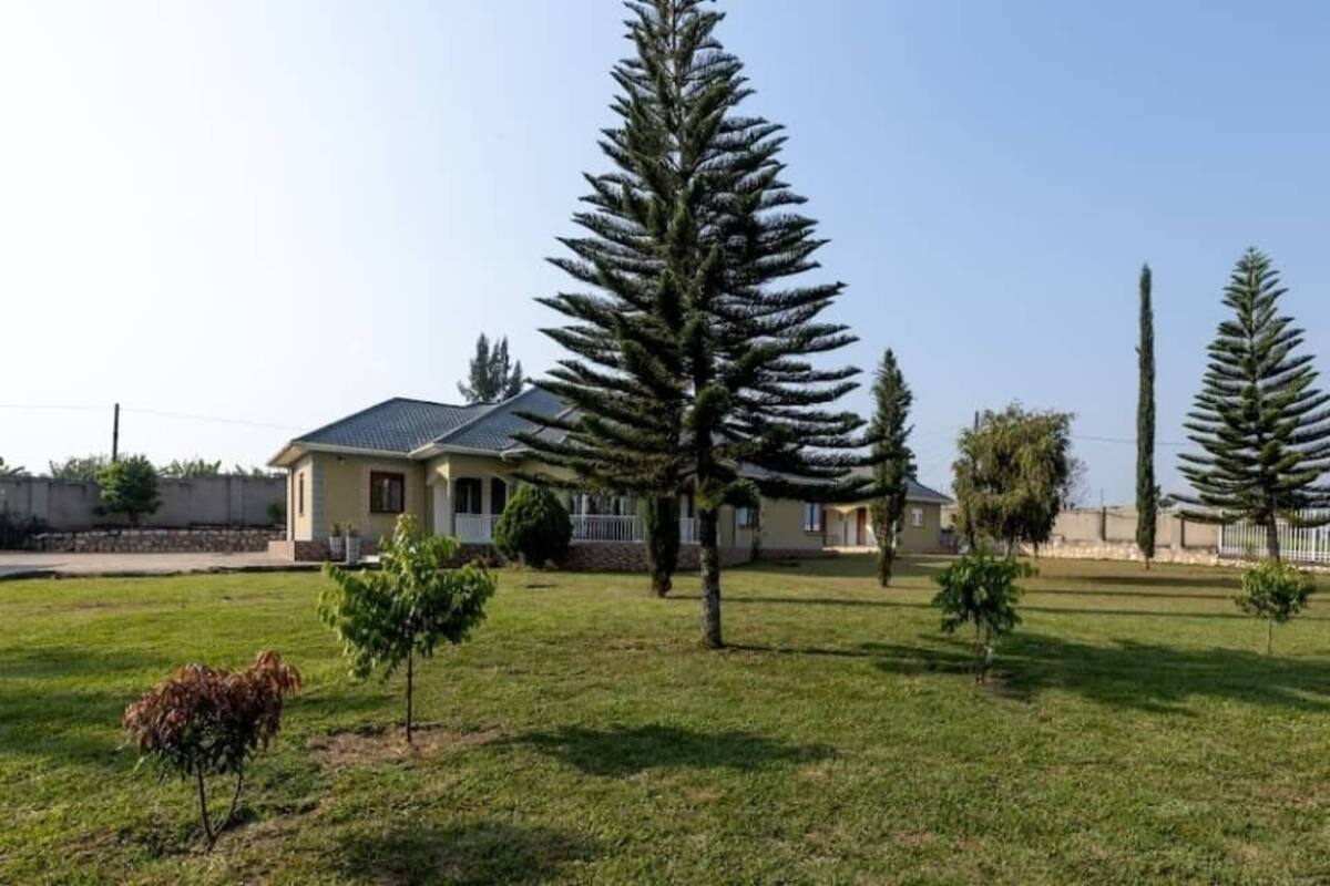 A house with a lawn, several trees, and a clear sky.