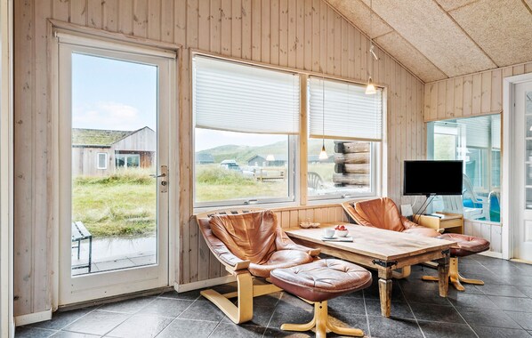 تلفزيون، مدفأة