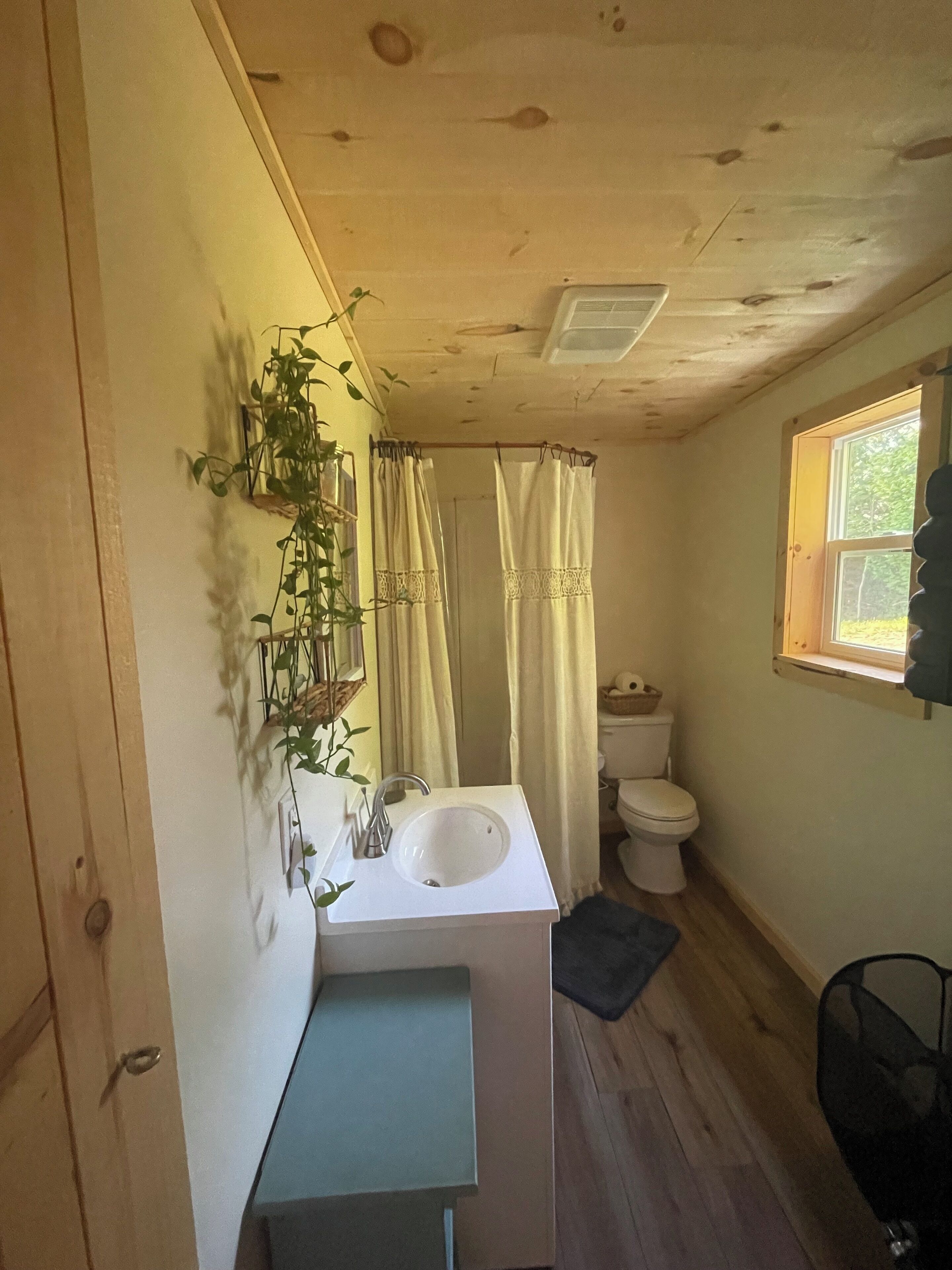 Shower, hair dryer, towels, toilet paper