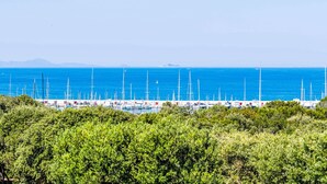 Een jachthaven met talloze zeilboten afgemeerd, omgeven door weelderige begroeiing.
