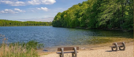 A lakeside view with a sandy beach, two wooden benches, and dense green foliage.