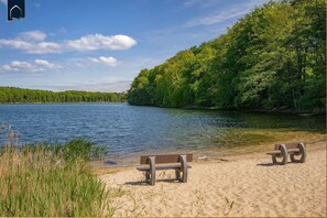 A lakeside view with a sandy beach, two wooden benches, and dense green foliage.