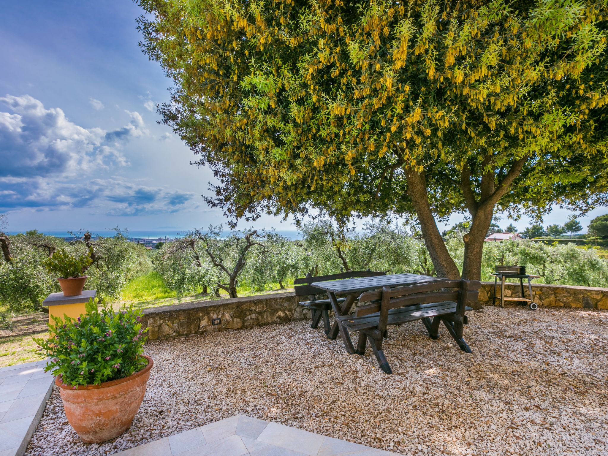 An outdoor seating area with a table and benches, surrounded by olive trees and a view of the landscape.