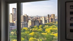 Vista a través de una ventana que muestra un paisaje urbano con edificios densos y un parque con follaje amarillo.