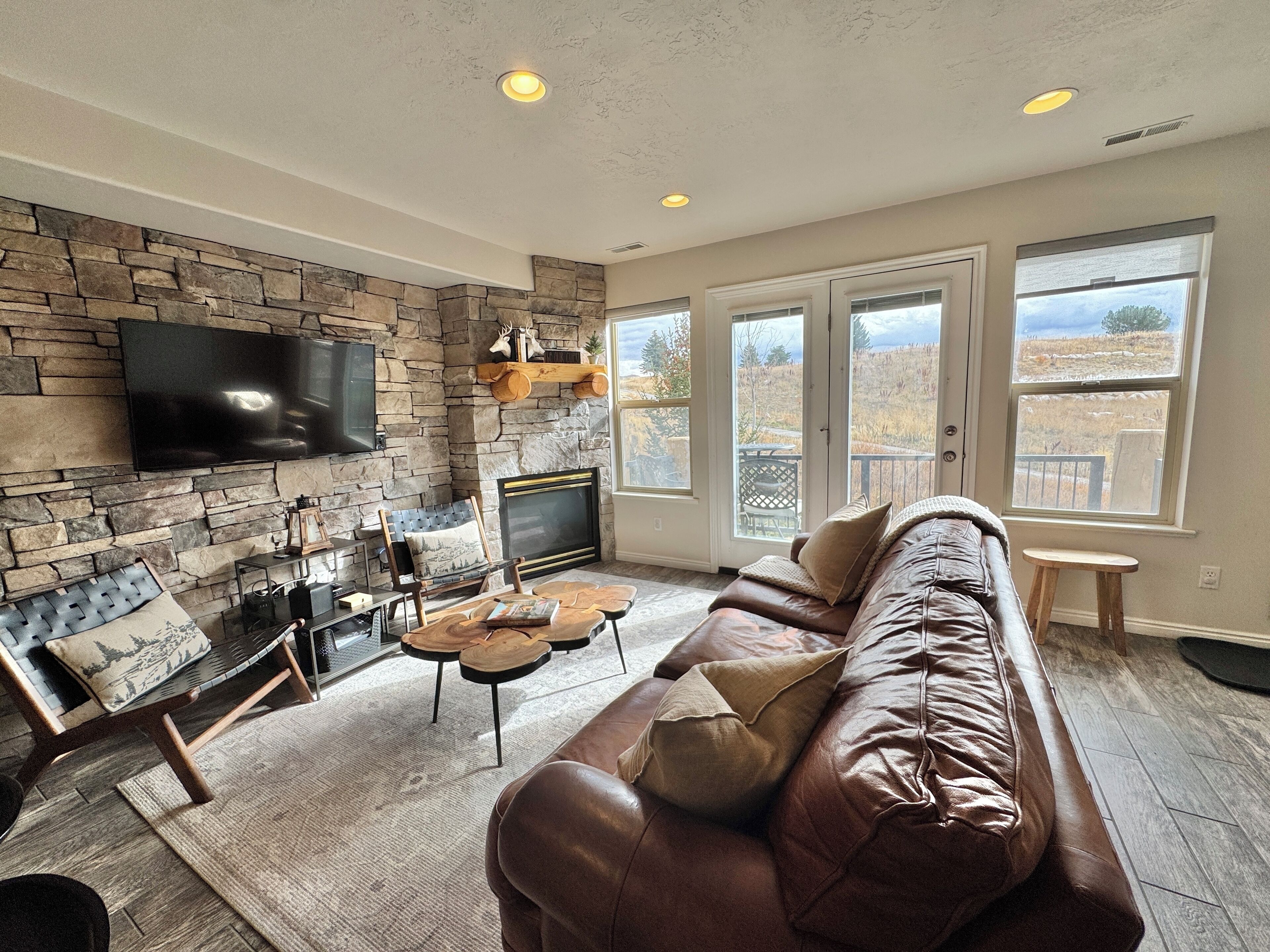 Smart TV, fireplace, books