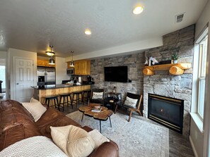 Smart TV, fireplace, books