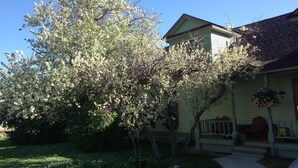 A house with a porch, a lawn, and a tree with white blossoms.