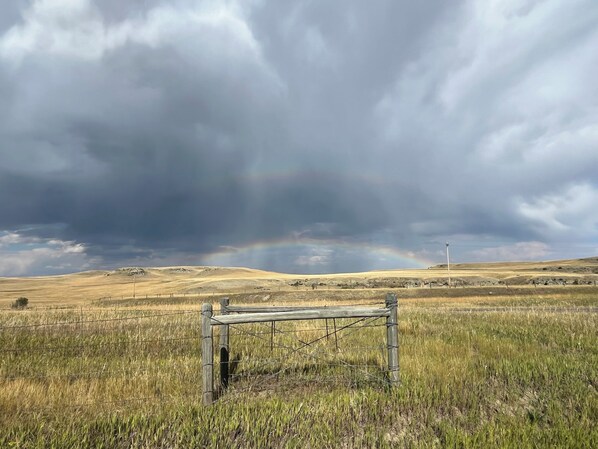 A rural landscape with a wooden gate in a field of tall grass, under a cloudy sky with a rainbow.