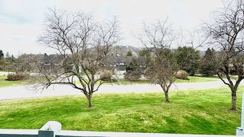 Terrain de l’hébergement