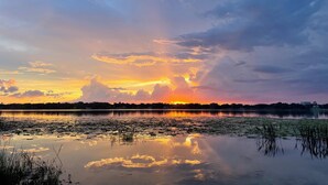 Un atardecer sereno sobre un lago, con reflejos de nubes y vegetación.